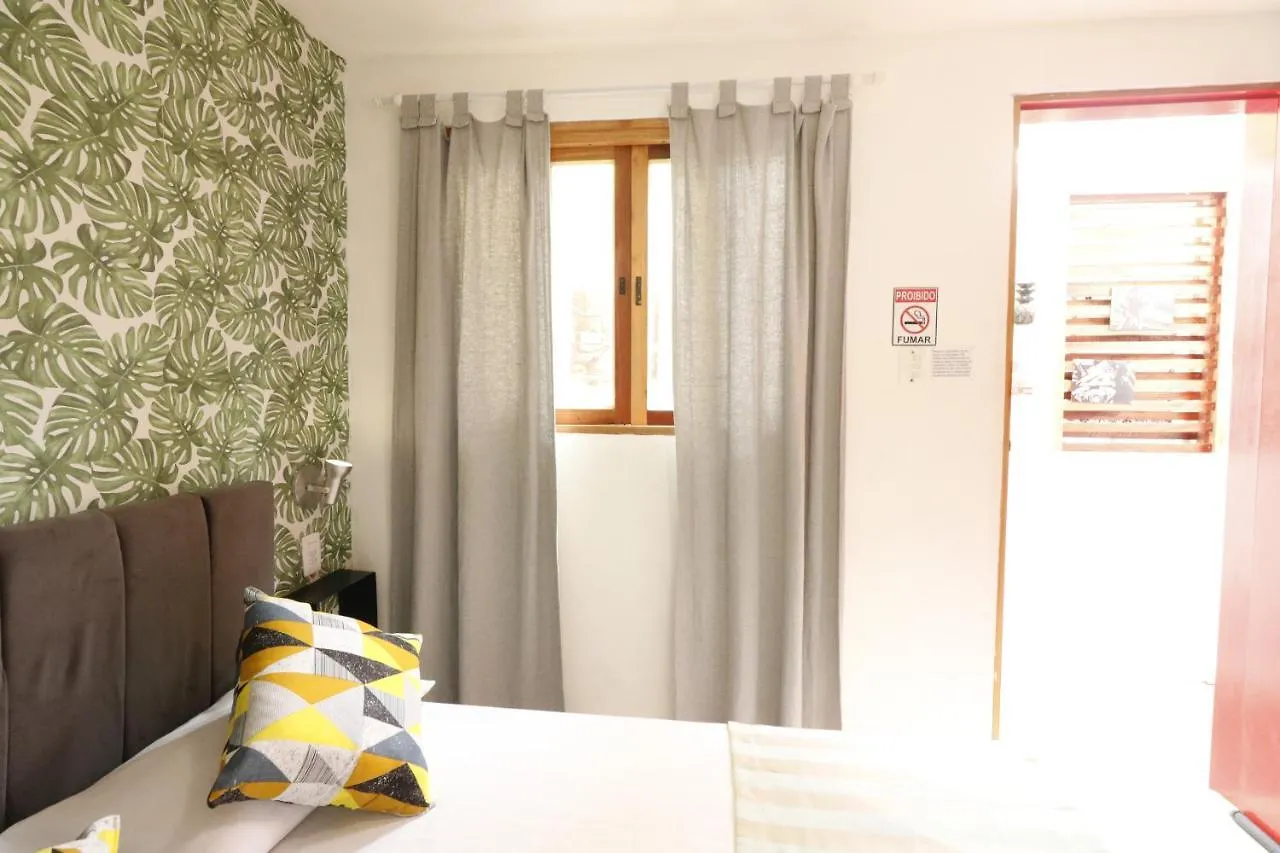 Albergue A Pousada Hospedaria Da Mama São Paulo